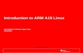 Introduction to ARM A15 Linux DSP Platform Software Apps Team 04/19/2013