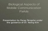 Biological Aspects of Mobile Communication Fields