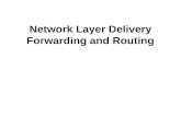 Network Layer Delivery Forwarding and Routing