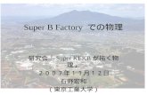 Super B Factory  での物理