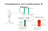 Fundaments of Combustion & Flame