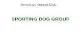 SPORTING DOG GROUP