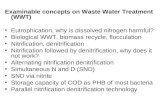 Examinable concepts on Waste Water Treatment (WWT)
