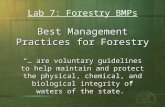 Best Management Practices for Forestry