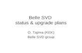 Belle SVD  status & upgrade plans