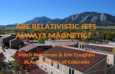 ARE RELATIVISTIC JETS ALWAYS MAGNETIC?