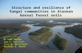 Structure and resilience of fungal communities in Alaskan boreal forest soils D. Lee Taylor