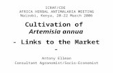Cultivation of  Artemisia annua - Links to the Market