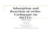 Adsorption and Reaction of  ortho -Carborane on Pt(111 )