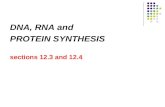 DNA, RNA and  PROTEIN SYNTHESIS sections 12.3 and 12.4