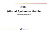 GSM  (Global System  for  Mobile  communication )