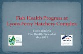 Fish Health Progress at        Lyons Ferry Hatchery Complex