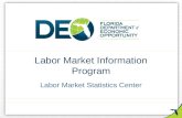 Labor Market Information Program