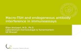 Macro-TSH and endogeneous antibody interference in immunoassays