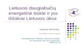 Lietuvos daugiabučių  energetinė būklė ir jos iššūkiai Lietuvos ūkiui