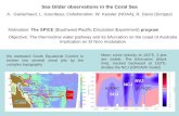 Sea Glider observations in the Coral Sea