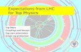 Expectations from LHC  for Top Physics
