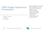 CMS Trigger Supervisor Framework