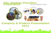 D&L Solution Providers Corporation