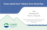 Nano-sized Zero Valence Iron Detection