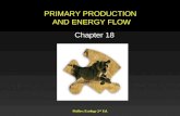PRIMARY PRODUCTION  AND ENERGY FLOW