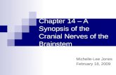 Chapter 14 – A Synopsis of the Cranial Nerves of the Brainstem