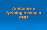 Anatomie a fyziologie nosu a PND