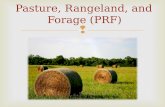 Pasture,  Rangeland, and        Forage (PRF)