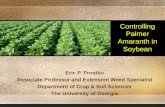 Controlling Palmer Amaranth in Soybean