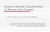 Feature-Based Classification of Mouse Eye Images