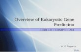 Overview of Eukaryotic Gene Prediction