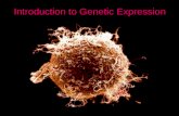 Introduction to Genetic Expression