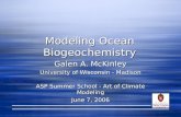 Modeling Ocean Biogeochemistry