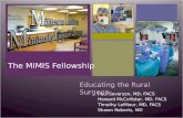 The MIMIS Fellowship