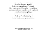 Arctic Ocean Model  Intercomparison Project:  Key outcomes. Boundary condition