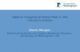 Optical imaging of blood flow in the microcirculation