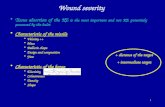 Wound severity