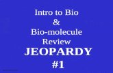 Intro to Bio & Bio-molecule Review