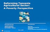 Reforming Tanzania Agricultural Sector: A Poverty Perspective