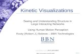 Kinetic Visualizations  Seeing and Understanding Structure in Large Interacting Networks