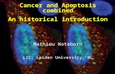 Cancer and Apoptosis combined An historical introduction Mathieu Noteborn