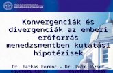 Készítették:           Farkas Ferenc -  Poór József egyetemi tanárok