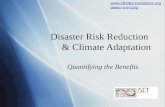 Disaster Risk Reduction  & Climate Adaptation