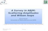 A Survey in ABJM: Scattering Amplitudes and Wilson loops   Silvia Penati