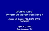 Wound Care: Where do we go from here?