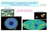 Static/Dynamic Correlations in Hot QCD  -- Tickling the QCD Vacuum --