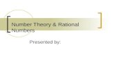 Number Theory & Rational Numbers