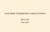 ELECTRON TRANSPORT CHAIN/SYSTEM