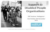 Support to Disabled People Organisations