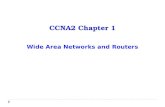 CCNA2 Chapter 1